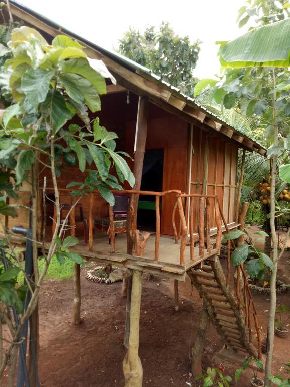 Отель Sigiri Aliya Tree House Сигирия Экстерьер фото
