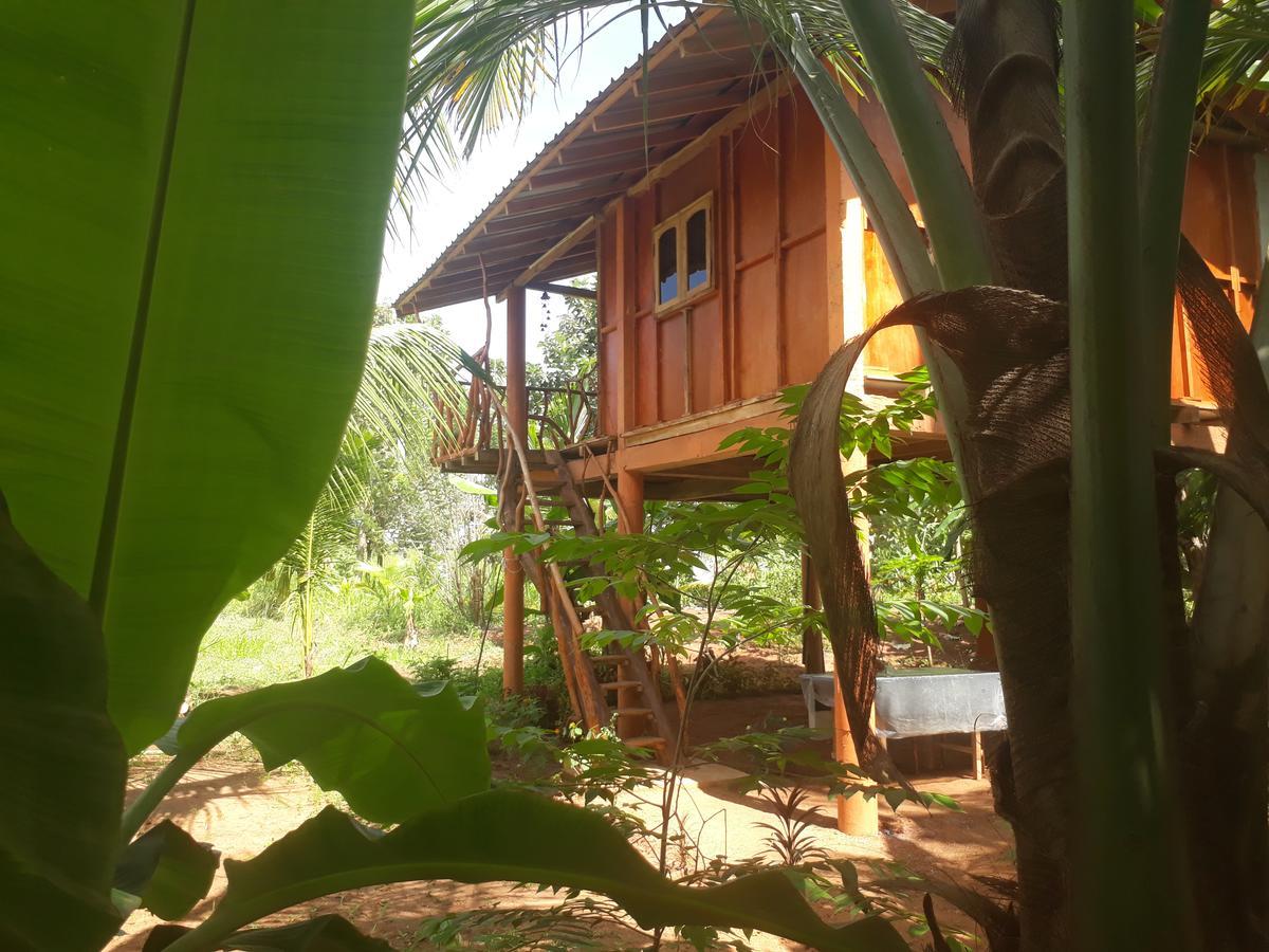 Отель Sigiri Aliya Tree House Сигирия Экстерьер фото
